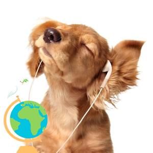 Meet your Posher, Paul